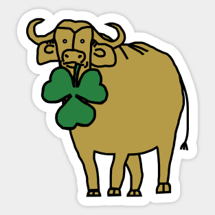 St Patricks Day Ox with Shamrock Sticker